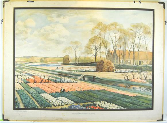 (SCHOOLPLAAT - SCHOOL POSTER / MAP - LEHRTAFEL) De Bloembollenvelden bij Lisse ( A.L. Koster )                Aardrijkskundige wandplaten van Nederland