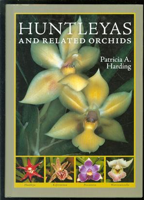 Huntleyas and related orchids