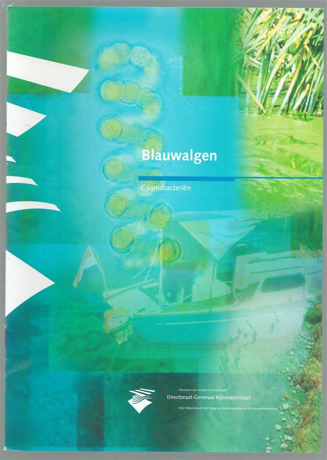 Blauwalgen, cyanobacterien