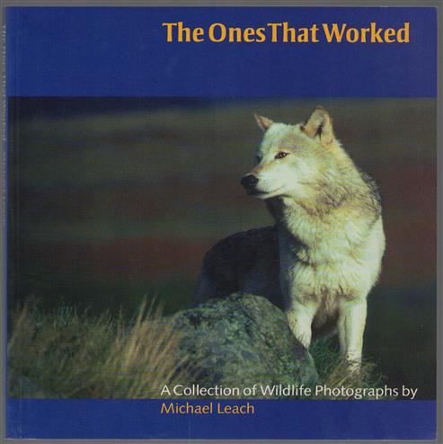 The ones that worked : a collection of wildlife photographs