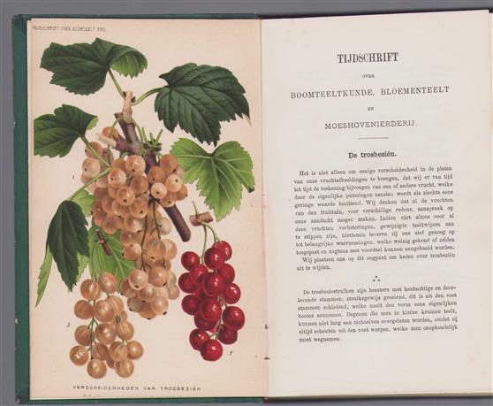 Tijdschrift over boomteeltkunde, bloementeelt en moeshovenierderij