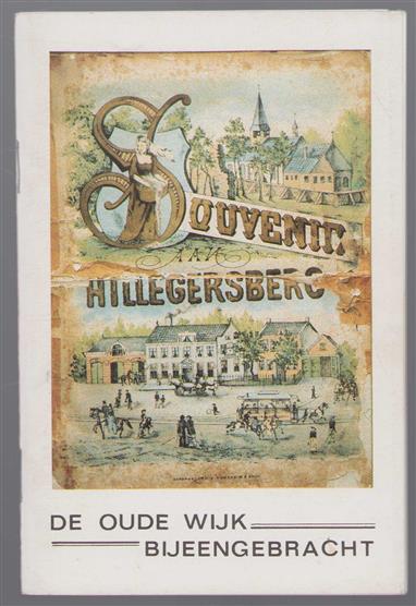De oude wijk bijeengebracht - Souvenir Hillegersberg