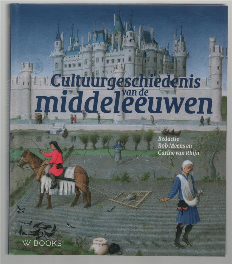 Cultuurgeschiedenis van de Middeleeuwen, beeldvorming en perspectieven