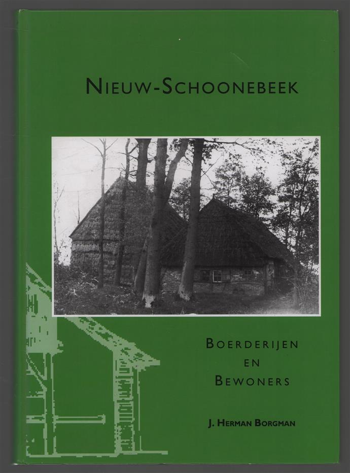 Nieuw-Schoonebeek : 150 jaar St. Bonifatius-parochie 1849-1999