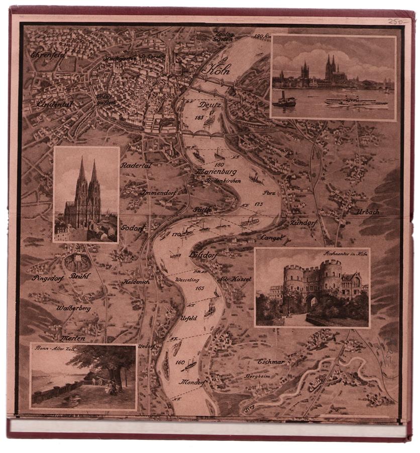 Relief-Panorama des Rheines in Kupferdruck [Freier Entwurf]