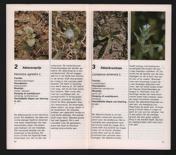 Akkeronkruiden en hun kiemplanten, 55 veel voorkomende akkeronkruiden in Nederland