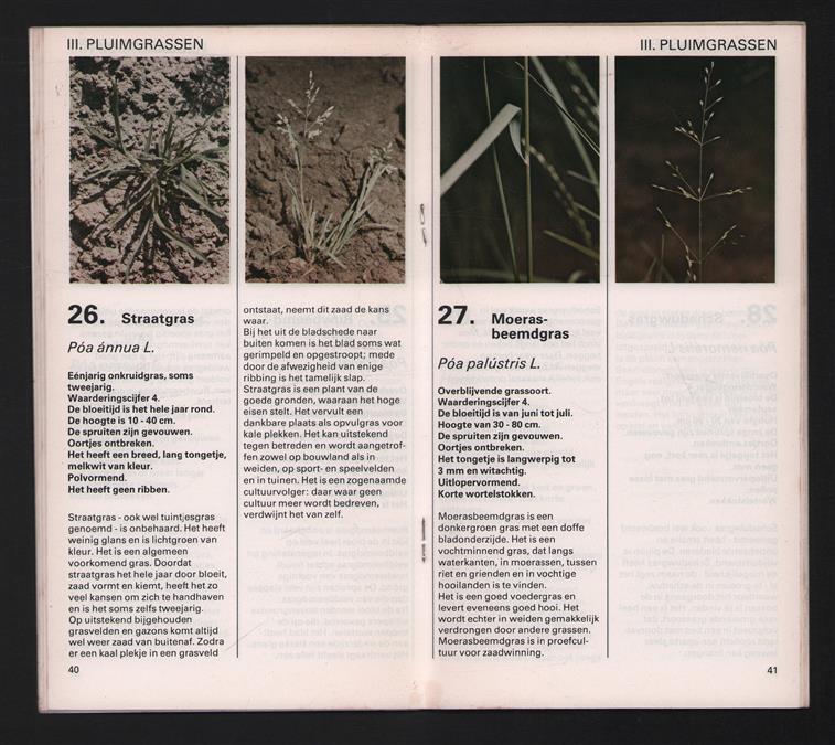 Grassen in woord en beeld, 62 in Nederland voorkomende grassoorten