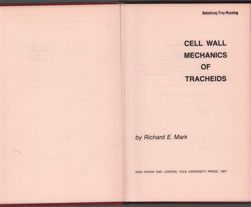 Cell wall mechanics of tracheids