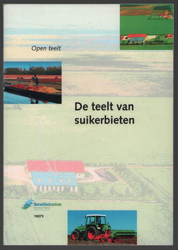 teelt van suikerbieten