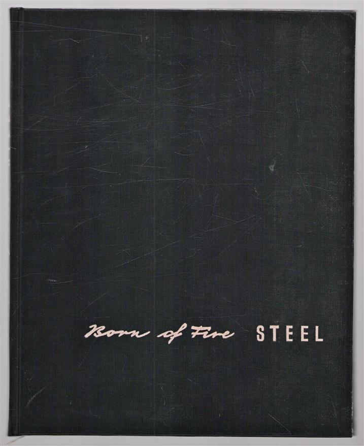 Born of fire STEEL A color picture book