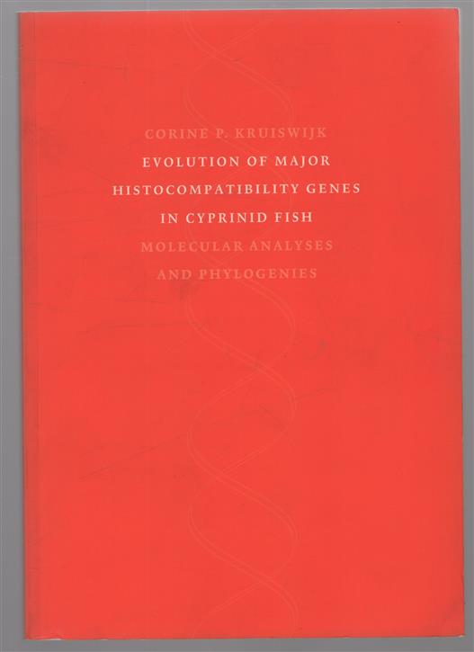 Evolution of major histocompatibility genes in cyprinid fish : molecular analyses and phylogenies