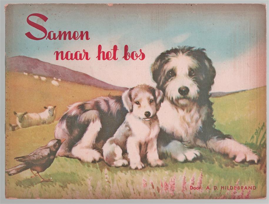 Samen naar het bos