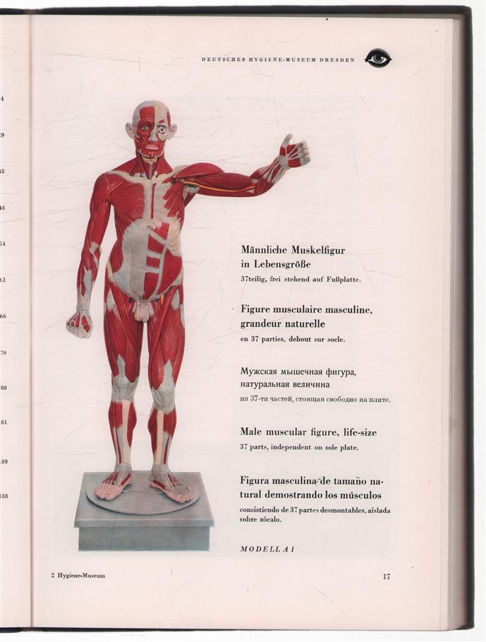 [Export-Katalog] Deutsches Hygiene-Museum, Dresden, Zentralinstitut f. medizinische Aufklärung