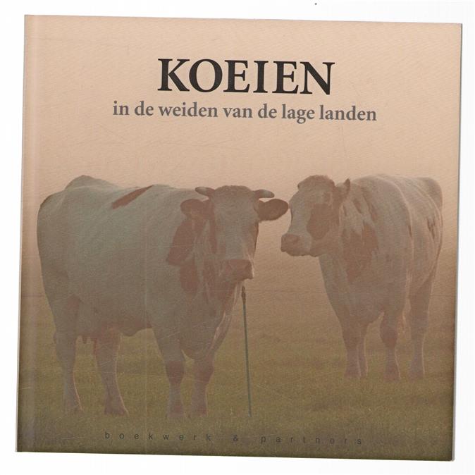 Koeien in de weiden van de lage landen