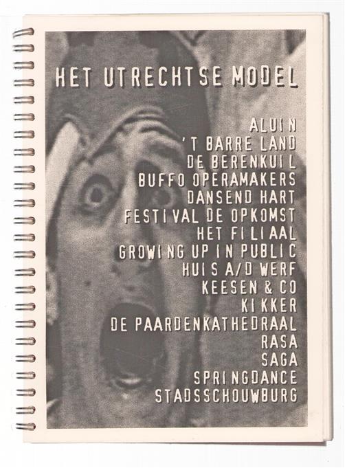 Het Utrechtse model