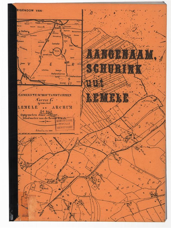 Het geslacht Schurink uit Lemele
