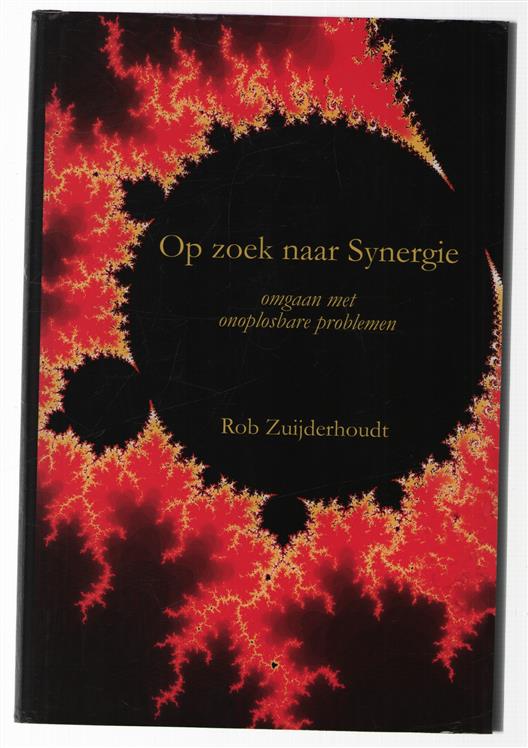 Op zoek naar synergie : omgaan met onoplosbare problemen