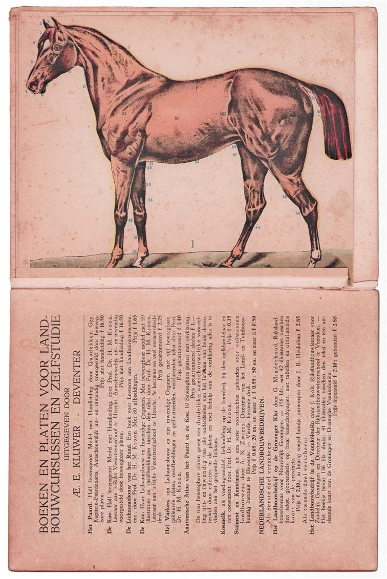 Het paard, zijn lichaamsbouw en zijne inwendige organen : met ... tekst voor fokkers, liefhebbers en bezitters van paarden [etc.] / naar het Duitsch van A. Schwarz ; voor Ned. bew. door [E.A.L.] Quadekker