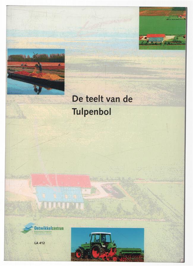 De Teelt van de tulpenbol