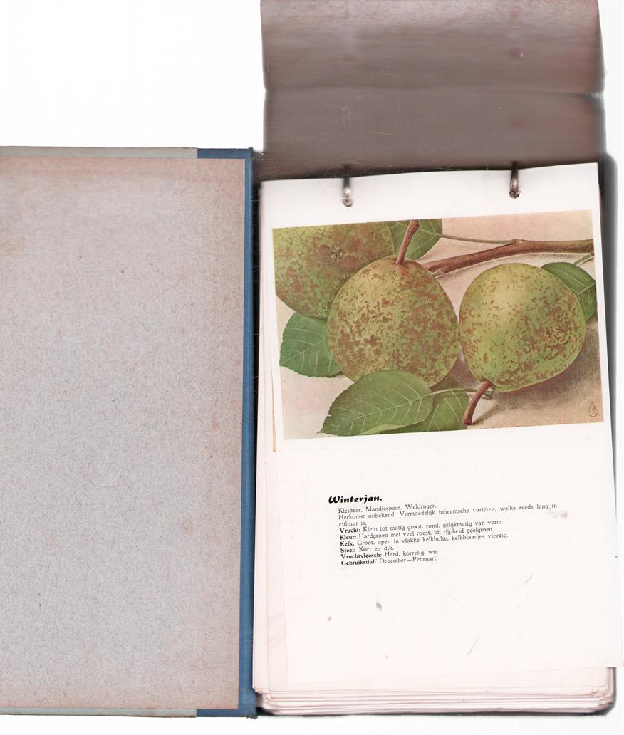 Nederlandsche fruitsoorten