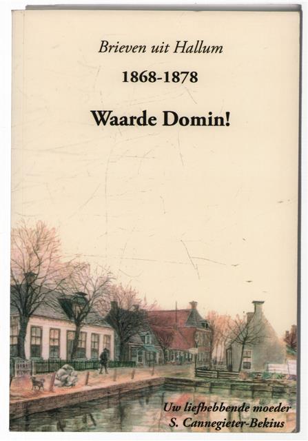 Waarde Domin!, brieven uit Hallum 1868-1878