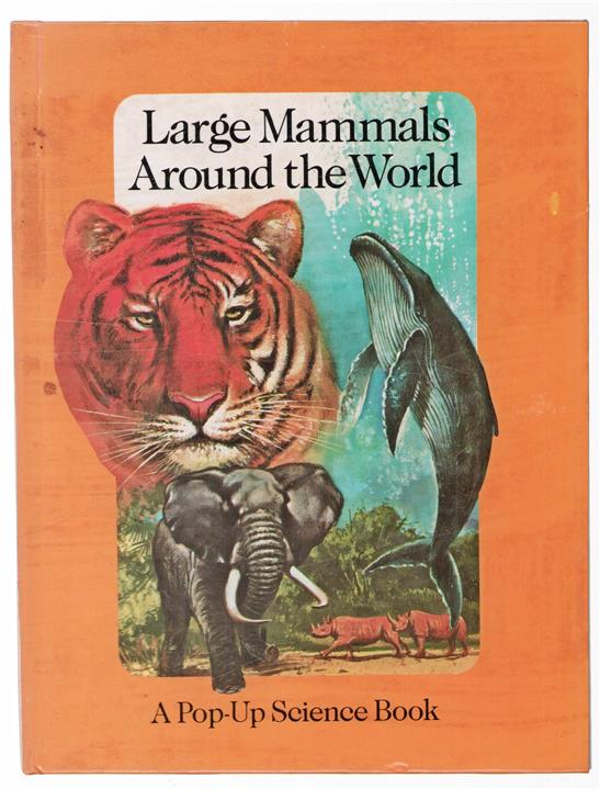 Large mammals around the world