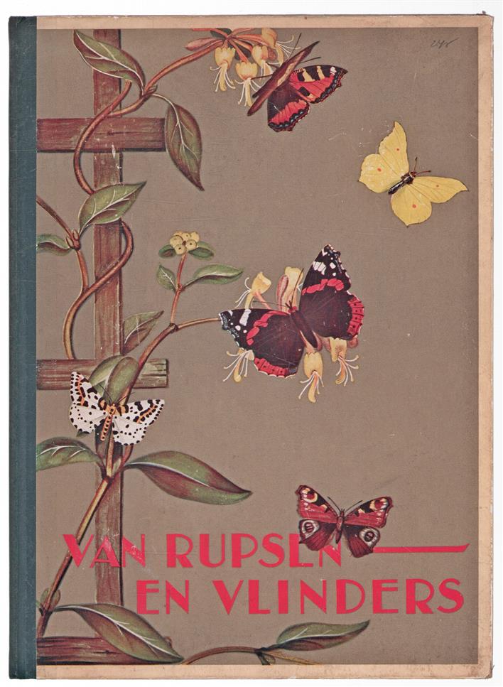 Van rupsen en vlinders