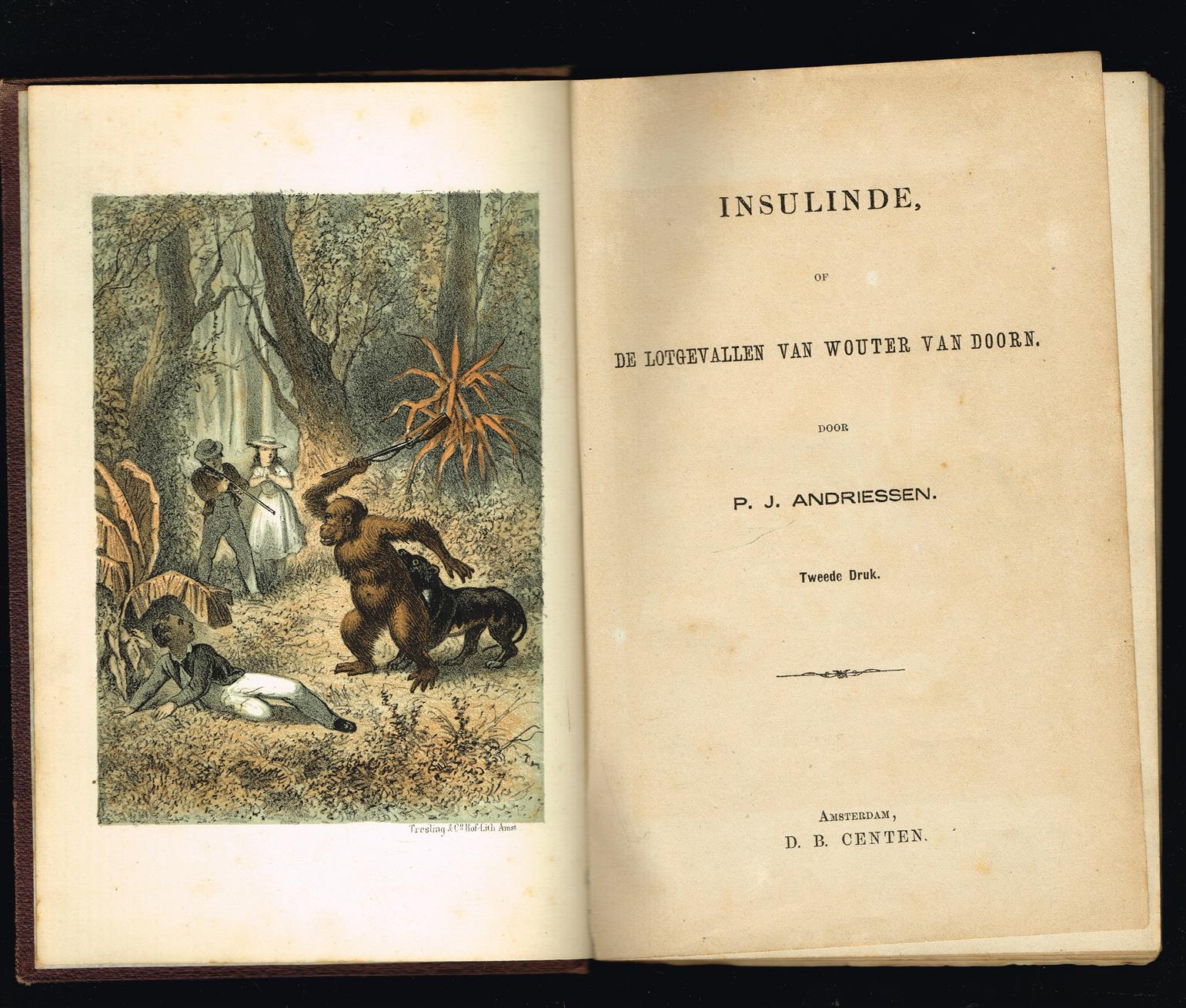 Insulinde, of De lotgevallen van Wouter van Doorn