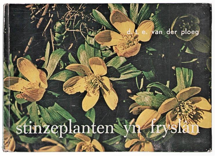 Stinzeplanten yn Fryslan : statussymboal ut de alde tiid