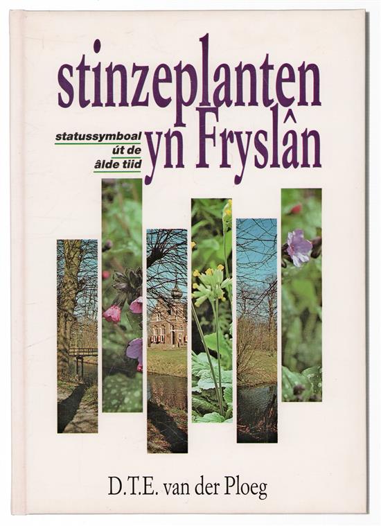 Stinzeplanten yn Fryslan, statussymboal ut de alde tiid