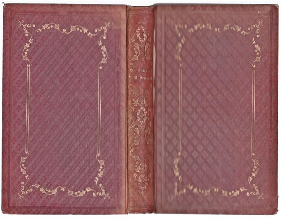 Anna Maria van Schurman