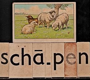 SCAPEN Klassikale leesplank losse kaart met de letters