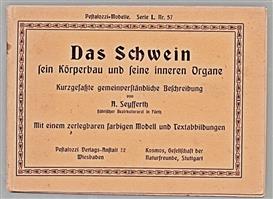 Das Schwein : sein Korperbau und seine inneren Organe : kurzgefaste gemeinverstandliche Beschreibung