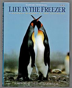 Life in the freezer : a natural history of the Antarctic