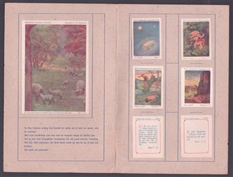 Schepping (plaatjesalbum)