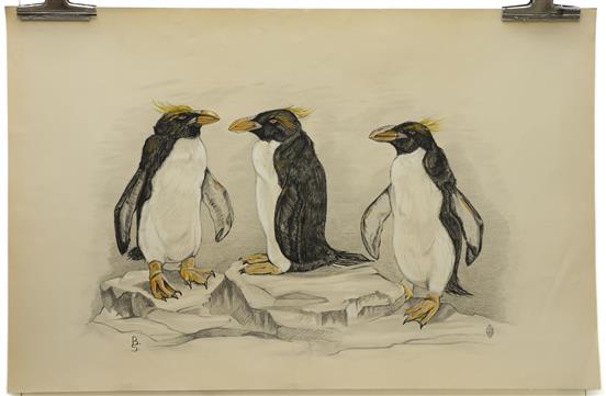 3 Penguins Big size old Litho